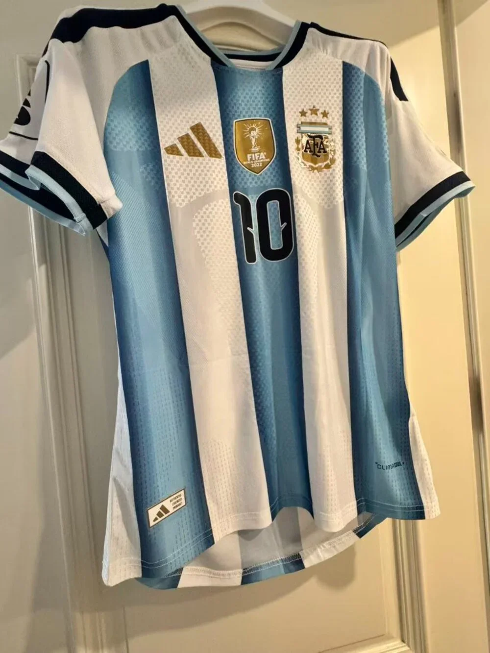 2026 World Cup Argentina No 10 Soccer Jersey M - Picture 3 of 8